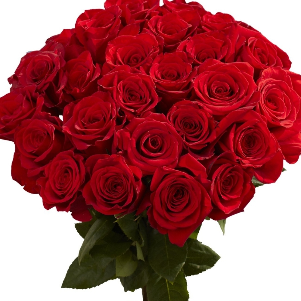 Meet your Posher, Liz